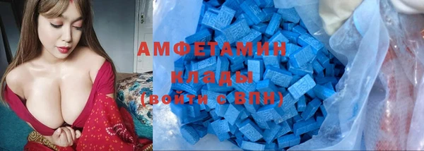 шишки Майский
