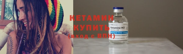 шишки Майский