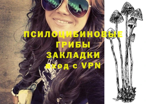прущая мука Магас
