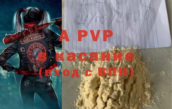 шишки Майский