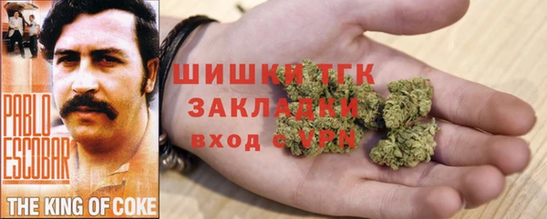 шишки Майский