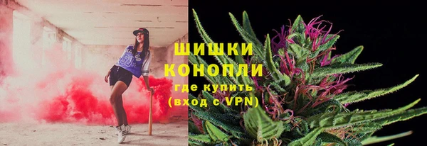 шишки Майский